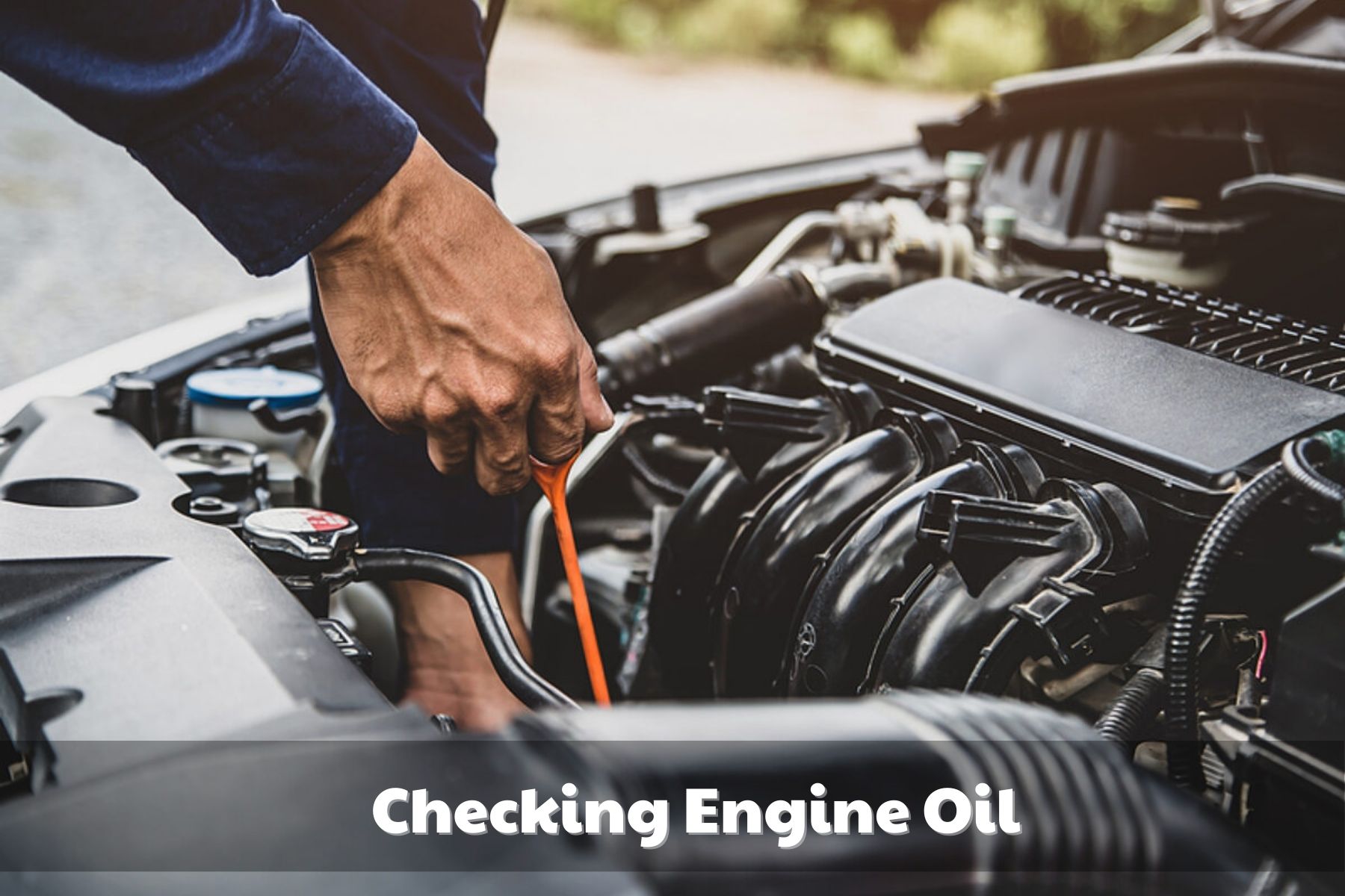 How to check your oil 1