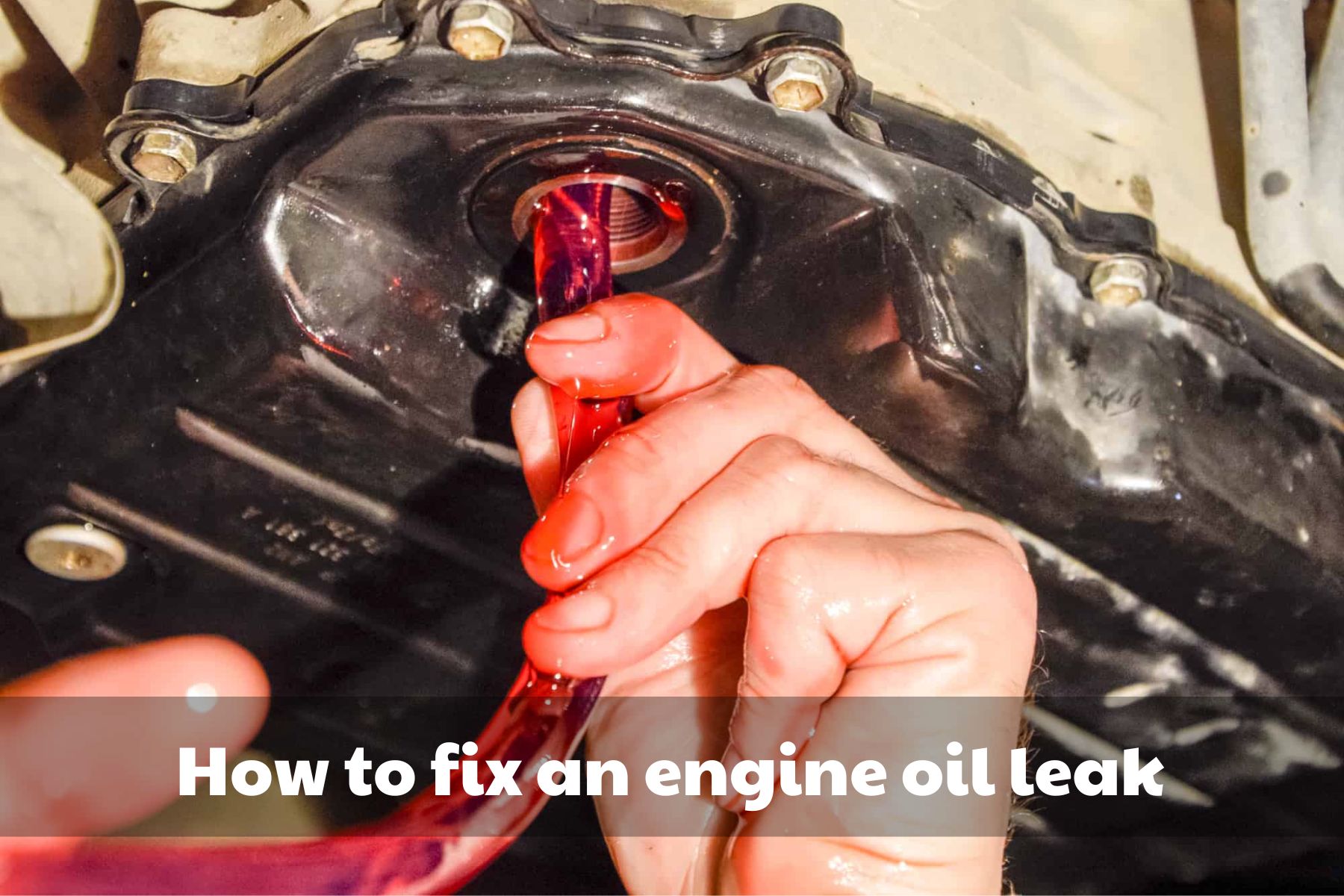 How Much to Fix an Oil Leak 2