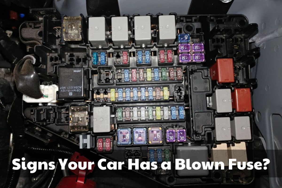 How To Tell If A Car Fuse Is Blown Brads Cartunes
