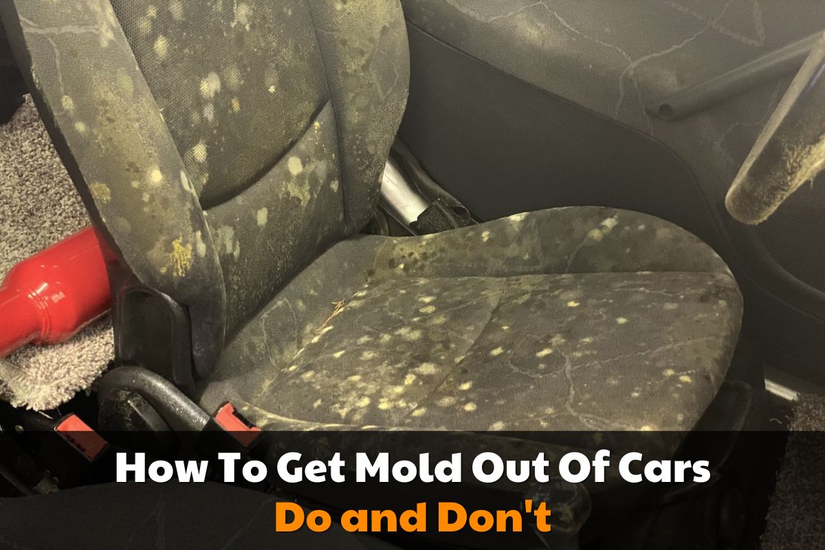How-To-Get-Mold-Out-Of-Cars