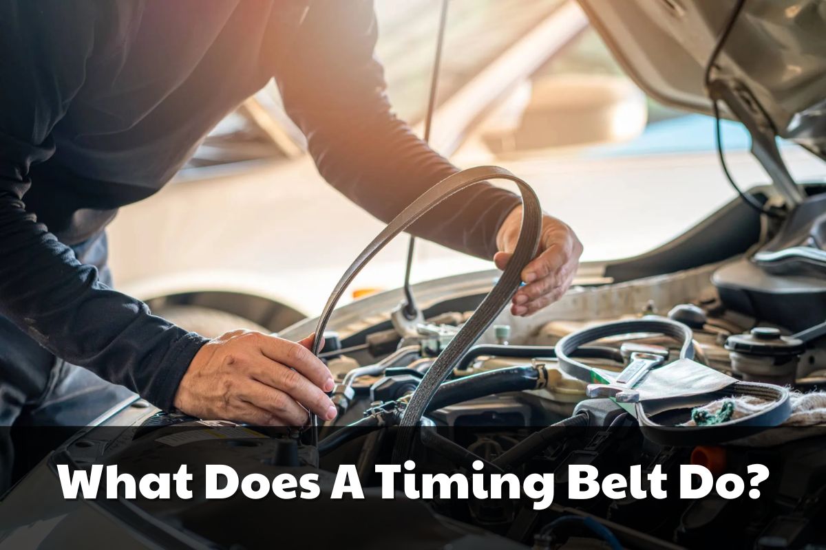 What-Does-A-Timing-Belt-Do