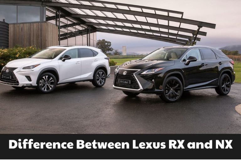 Difference Between Lexus RX and NX A Comprehensive Comparison Brads